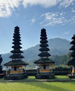 Local landscapes 