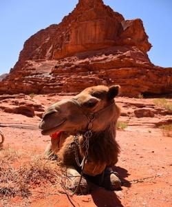 Jordan Travel
