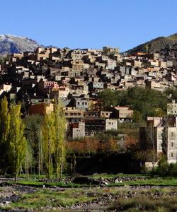 Local landscape 