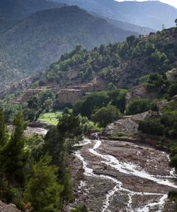 Local landscape 