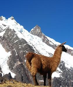 Peru Hiking