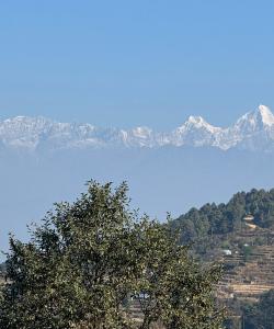 Nepal Trekking