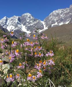 Chile Trekking