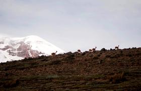 Ecuador Trekking