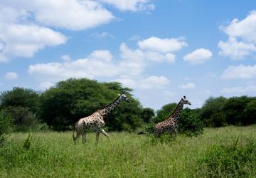 Tanzania